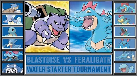 blastoise vs feraligatr|swampert vs feraligatr.